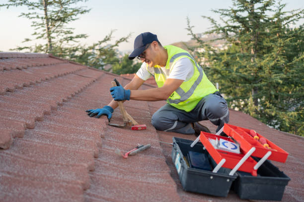 Best Gutter Installation and Roofing  in Somerset, KY